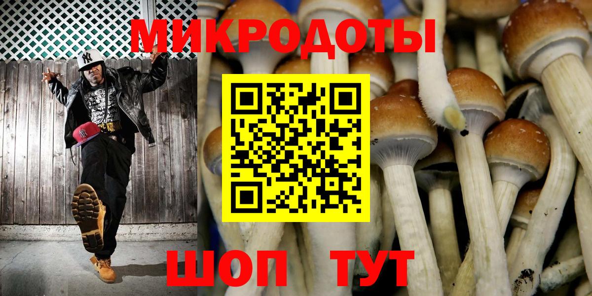 Лесной  Псилоцибиновые грибы Cubensis  Вход с VPN 