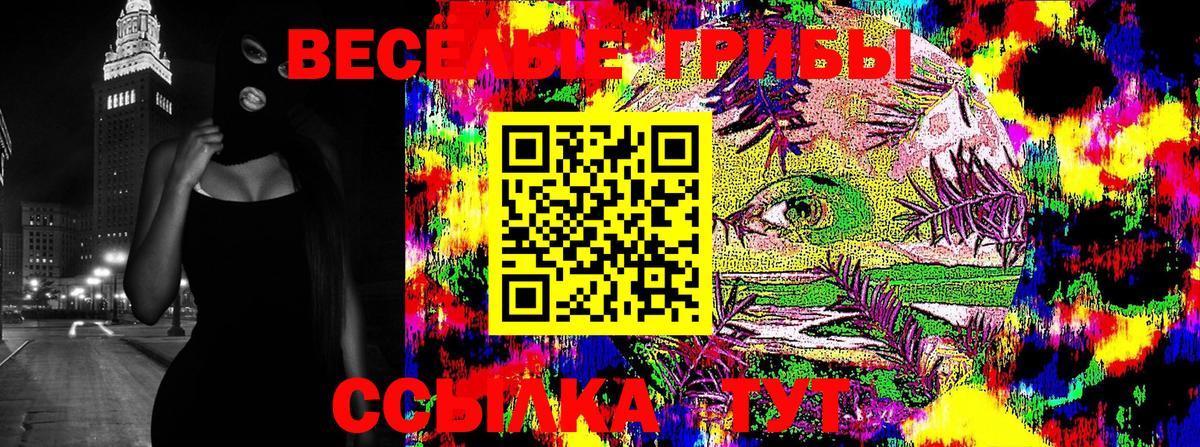 Галлюциногенные грибы мицелий Лесной